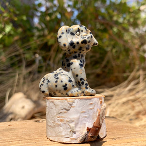 Crystal Animal Spirit Totems: Dalmatian Jasper Dog