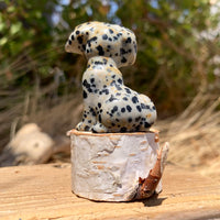 Crystal Animal Spirit Totems: Dalmatian Jasper Dog