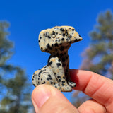 Grote obsidiaangenerator 👉 75% KORTING, slechts 1 dag