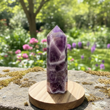 Dream Amethyst Mini Crystal Point