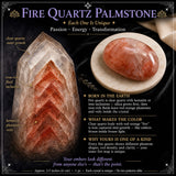 8 $ Feuerquarz-Palmenstein 1-Tages-Flash-Sale
