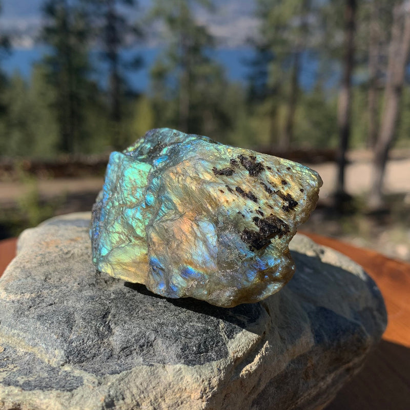 OMAGGIO GRATUITO! Pietra naturale labradorite appariscente - (paga solo il costo della spedizione)