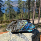 Pierre naturelle labradorite flashy