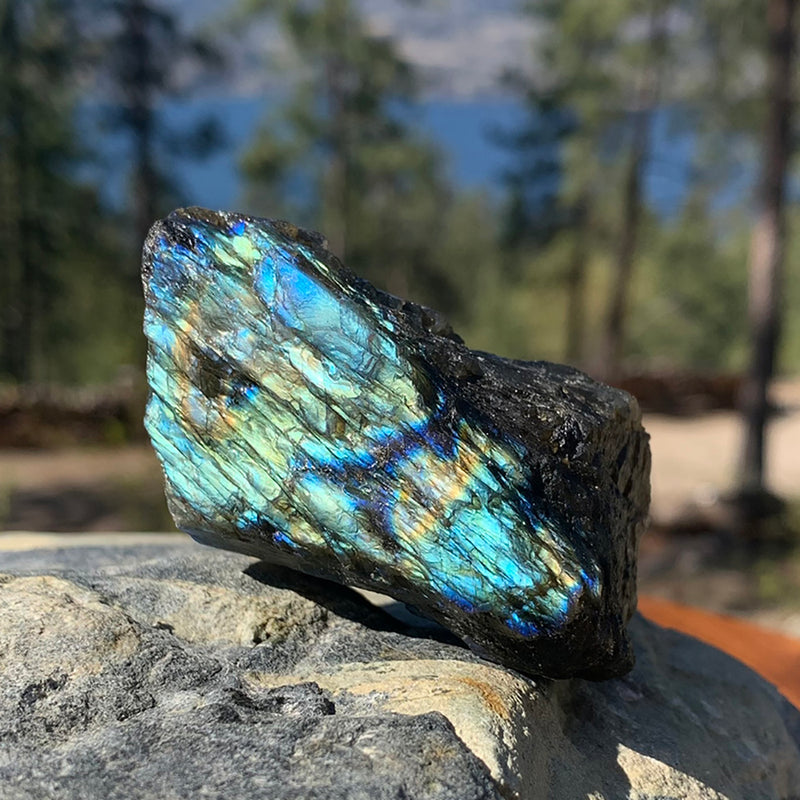 OMAGGIO GRATUITO! Pietra naturale labradorite appariscente - (paga solo il costo della spedizione)