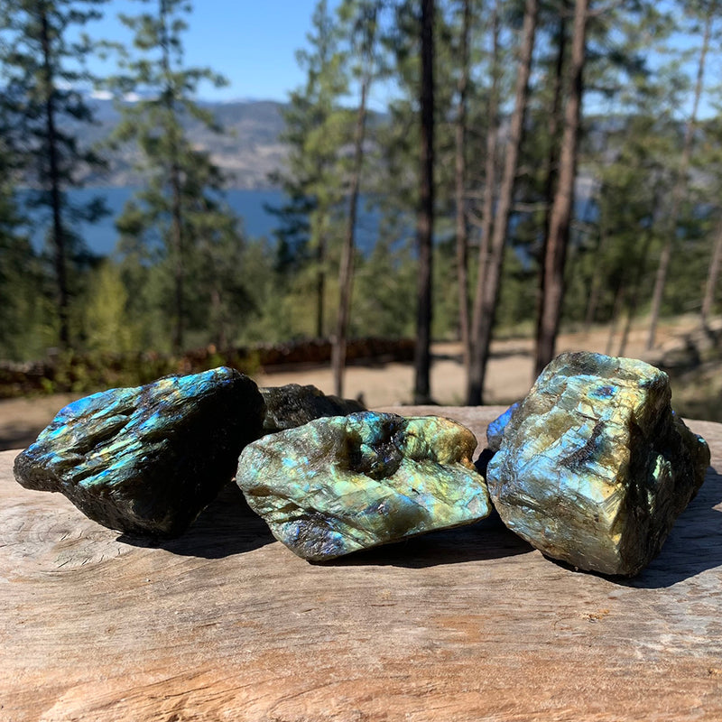 OMAGGIO GRATUITO! Pietra naturale labradorite appariscente - (paga solo il costo della spedizione)