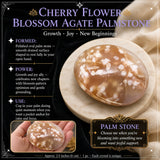 Flor de CerejeiraBlossom Ágata Palmstone
