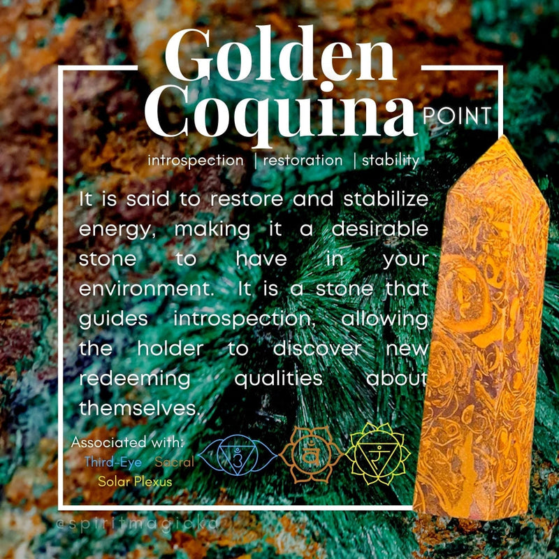 Golden Coquina Jasper Point - wand