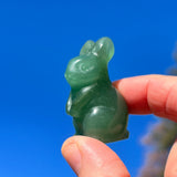 Cogumelo Carnelian