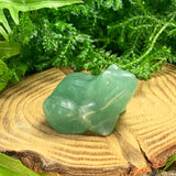 Hongo Cornalina