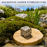 Dalmatisk Jaspis Tumbled Cube