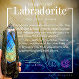 Labradorite Collectors Kit - collection