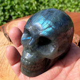 Teschio di Labradorite (taglia media)