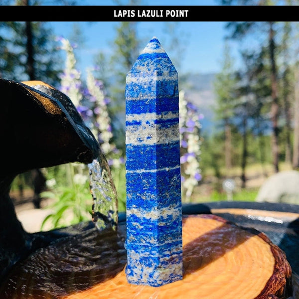 Lapis Lazuli Collectors Kit - collection