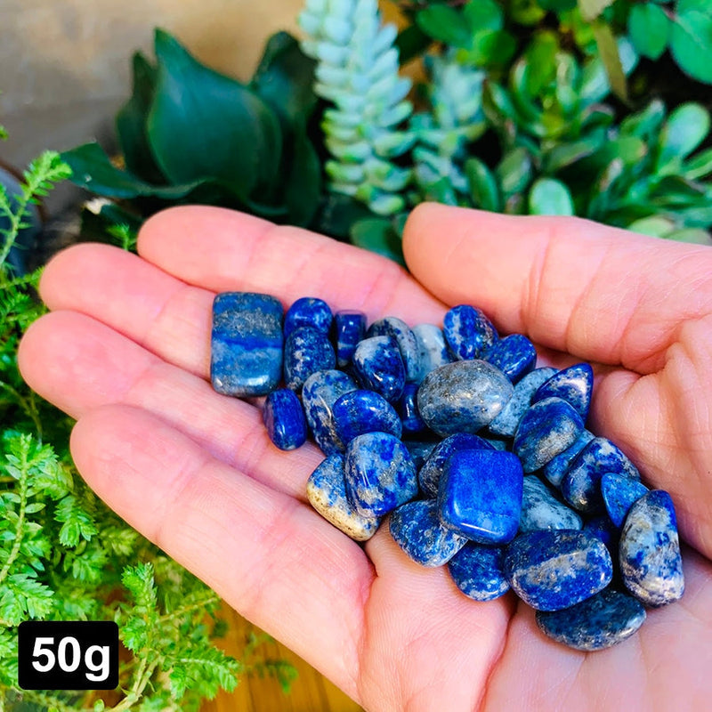 Lapis Lazuli Mini Gemstones (50 Gram / 1.7oz. Lot)