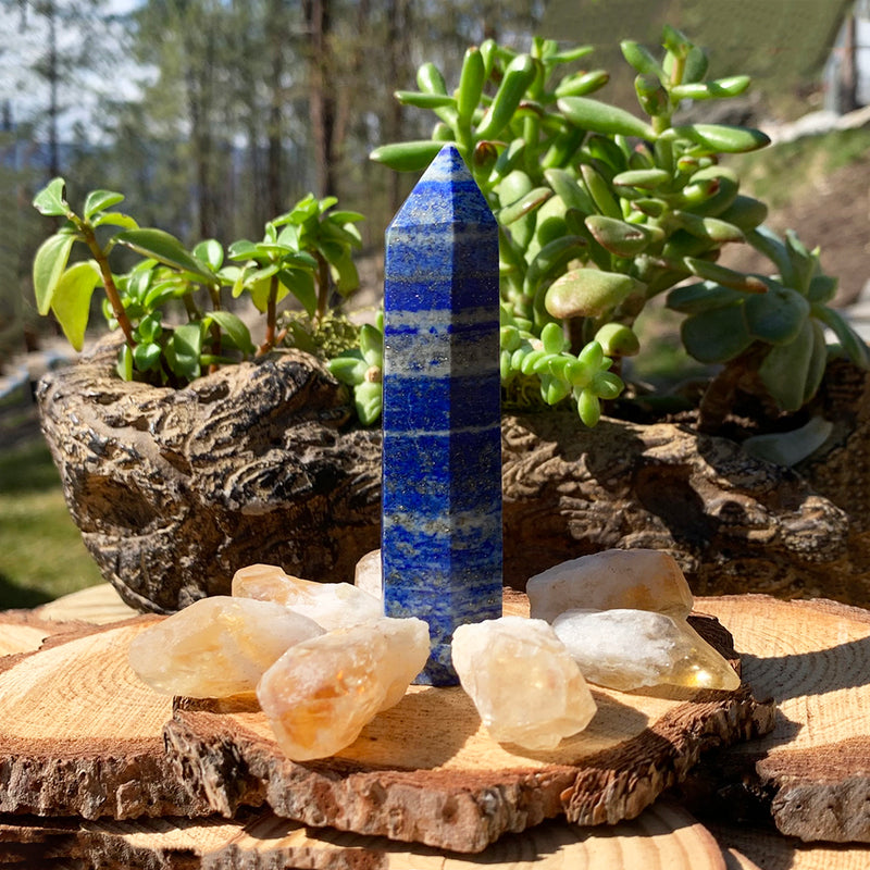 Ensemble de 8 éclats de lapis-lazuli et de citrine