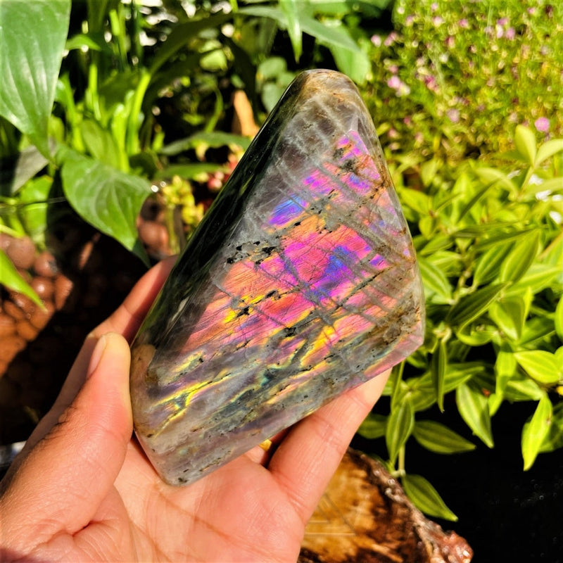 Large (1.01 lbs.) Purple Flash Labradorite Freeform (Item #0100)