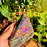 Large (1.01 lbs.) Purple Flash Labradorite Freeform (Item #0100)