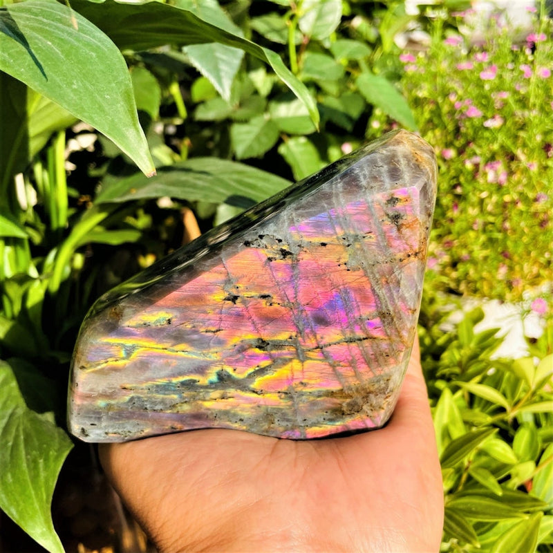 Large (1.01 lbs.) Purple Flash Labradorite Freeform (Item #0100)