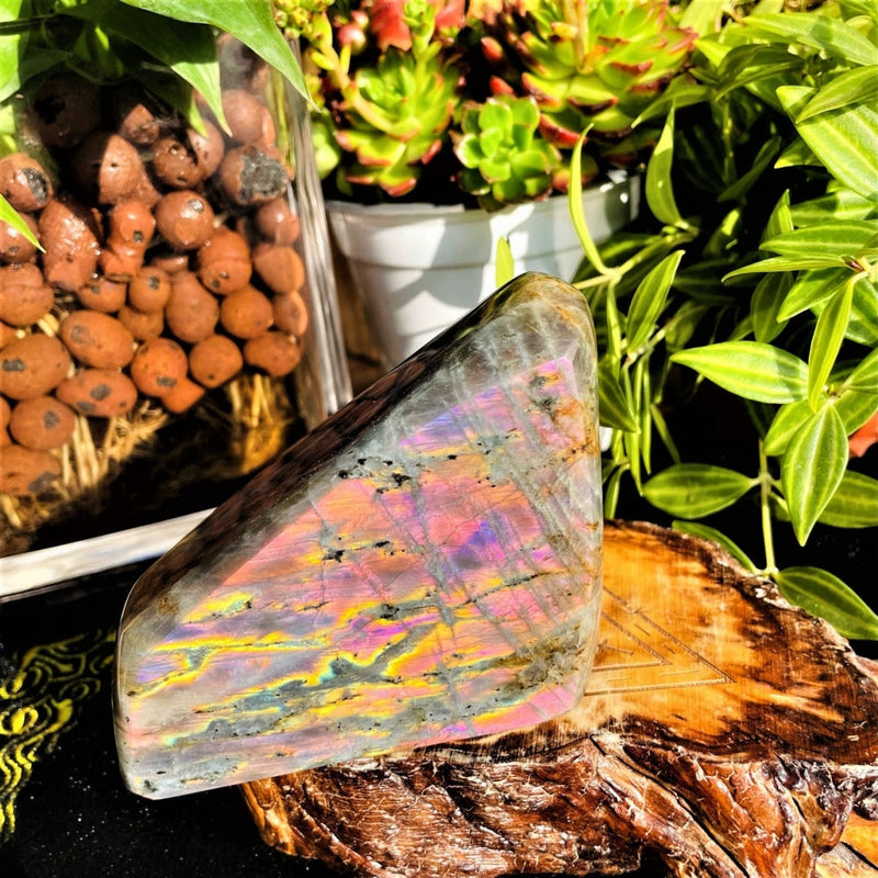 Large (1.01 lbs.) Purple Flash Labradorite Freeform (Item #0100)