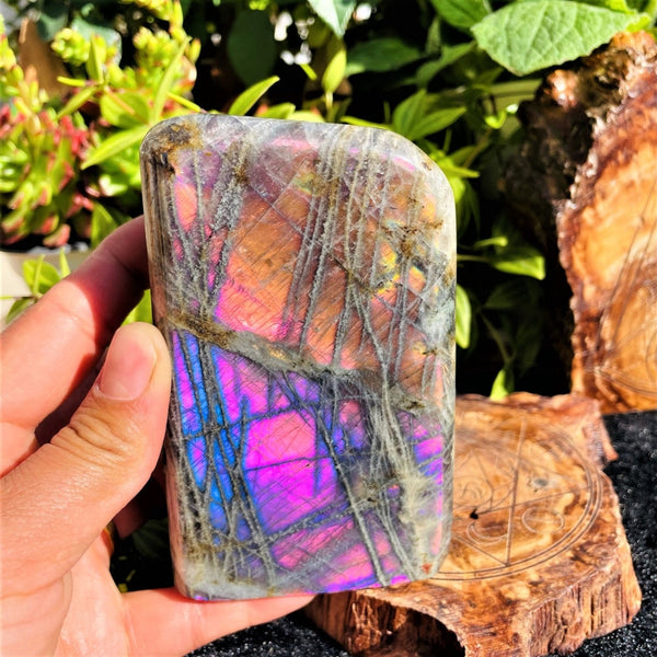 Large (1.48 lbs.) Purple Flash Labradorite Freeform (Item #1020)