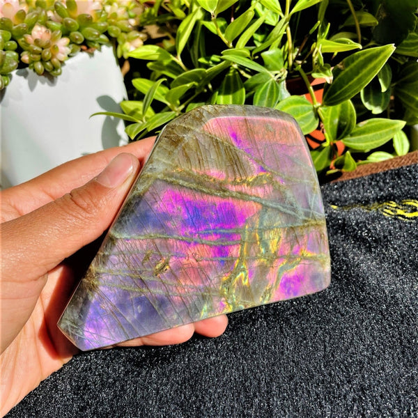 Large (1.63 lbs.) Purple Flash Labradorite Freeform (Item #0103)