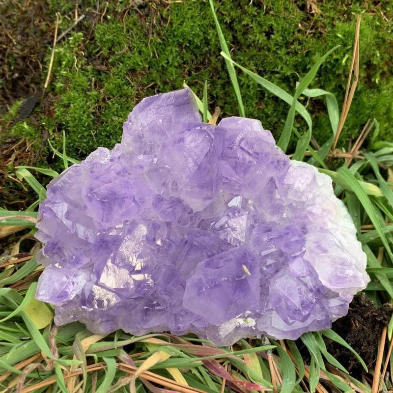 Large Specimen Amethyst Cluster - clustergeode