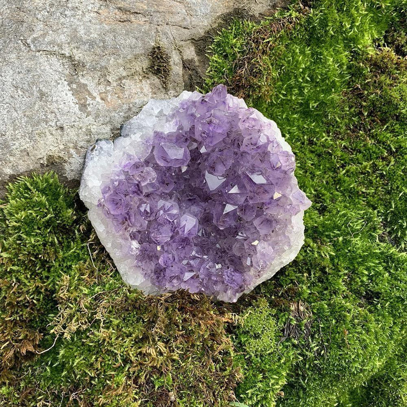 Large Specimen Amethyst Cluster - clustergeode