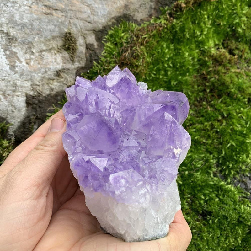 Large Specimen Amethyst Cluster - clustergeode