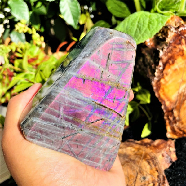Large Purple Flash Labradorite Freeform (Item #1023)