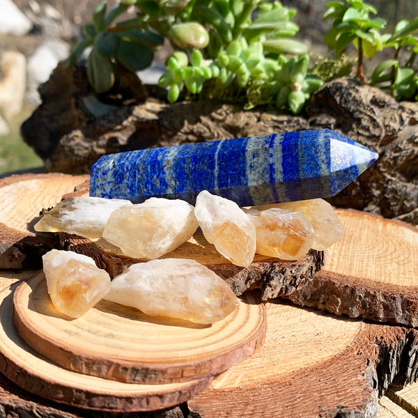FREE GIVEAWAY! Lapis Lazuli & Natural Citrine Shards (8 Pieces) - (Just Pay Cost of Shipping)