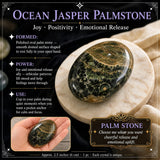 60% de desconto Ocean Jasper Palmstone Palmstone 1 dia apenas