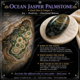60% de desconto Ocean Jasper Palmstone Palmstone 1 dia apenas