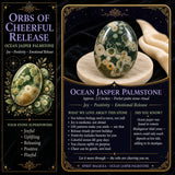 60% de desconto Ocean Jasper Palmstone Palmstone 1 dia apenas