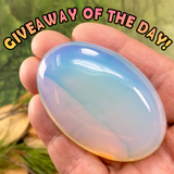 CONCOURS GRATUIT ! Opalite Palmstone - (Payez simplement les frais d’expédition)