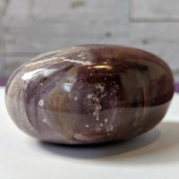 Petrified Wood Palmstone - palmstone
