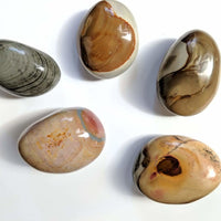 Polychromatic Jasper Palmstone - palmstone