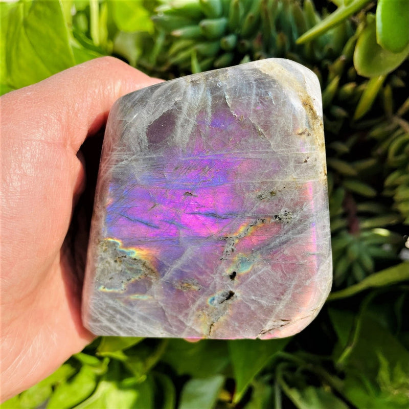Purple Flash Labradorite Freeform (Item #0007)