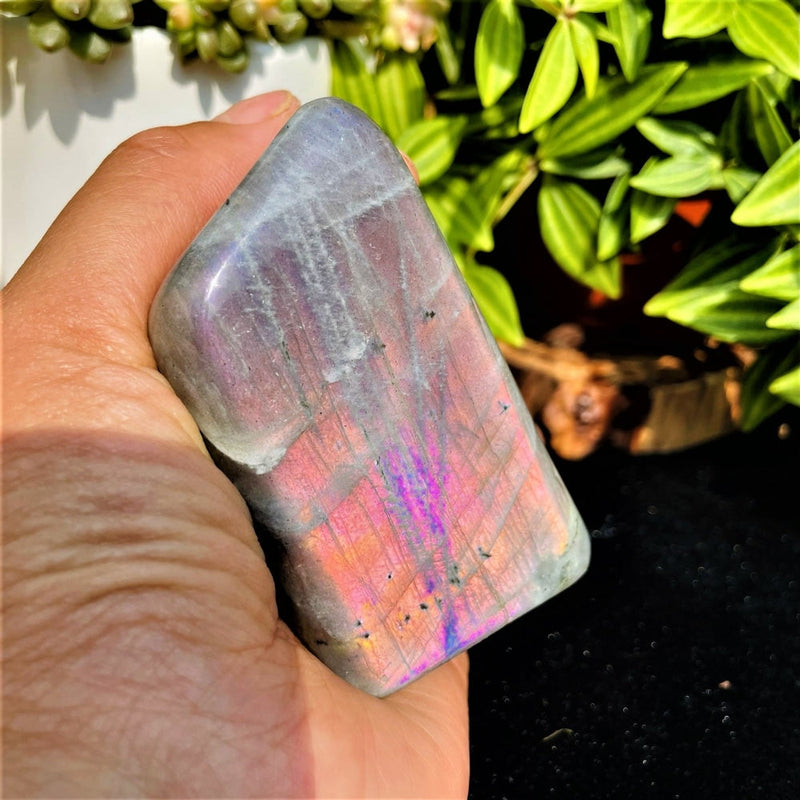 Purple Flash Labradorite Freeform (Item #0085)