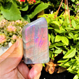 Purple Flash Labradorite Freeform (Item #0085)