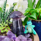 Purple Fluorite Mushroom - mushroom