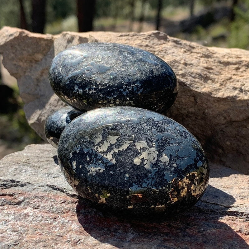 Piedra de palma de pirita