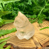 Cogumelo Carnelian
