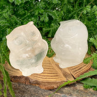 Crystal Animal Spirit Totems: Clear Quartz Owl