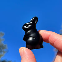 Crystal Animal Spirit Totems: Black Protection Agate Rabbit