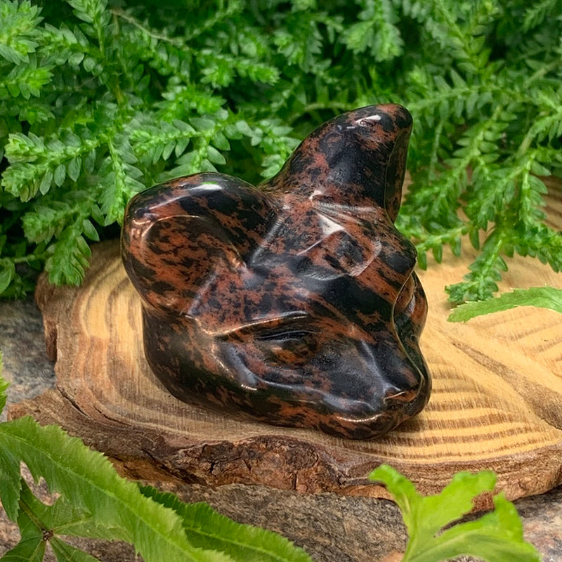 Hongo Cornalina