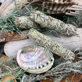 Kit sbavature: salvia bianca (6 pollici) + conchiglia di abalone