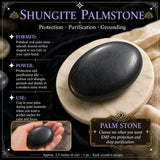 Schungit-Palmenstein