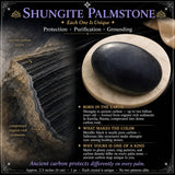 Schungit-Palmenstein