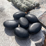 Palmstone Shungita