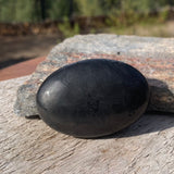 Palmstone Shungita